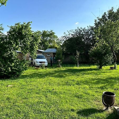 Villa In Qabala Exteriör bild